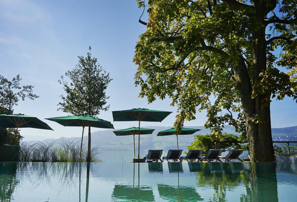 Seerose Resort & Spa Meisterschwanden Esterno foto